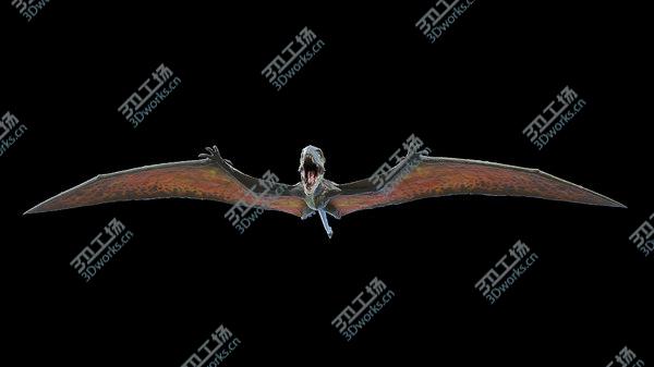 images/goods_img/20210312/Dimorphodon model/4.jpg